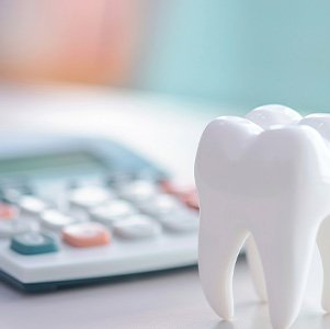 Tooth model sitting in front of calculator